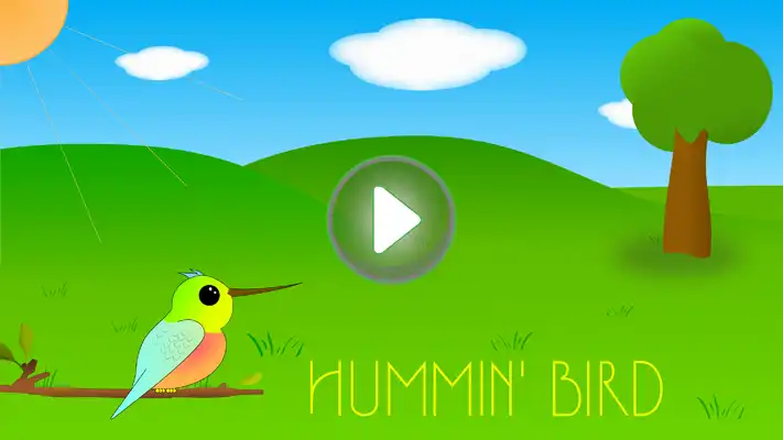 Play Hummin Bird