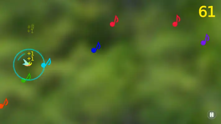 Play Hummin Bird