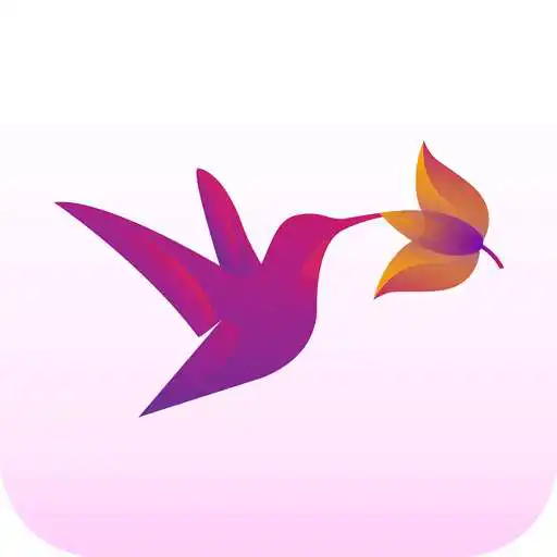 Free play online Hummingbird  APK