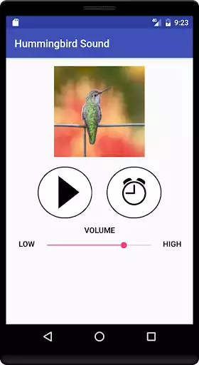 Play Hummingbird Sound