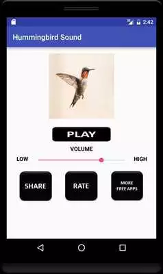 Play Hummingbird Sound