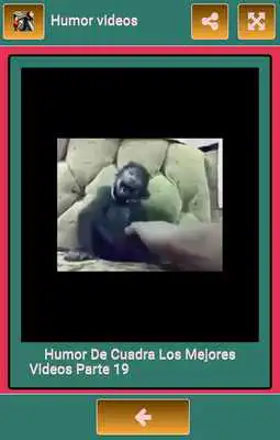 Play Humor Videos
