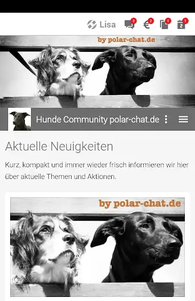 Play Hunde Community polar-chat.de  and enjoy Hunde Community polar-chat.de with UptoPlay