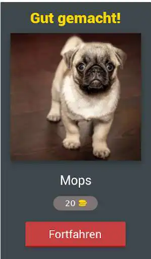 Play HUNDE - Foto-Quiz (150 Rassen) as an online game HUNDE - Foto-Quiz (150 Rassen) with UptoPlay