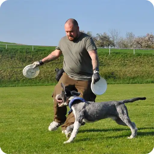 Play HundFamilie APK Play HundFamilie APK