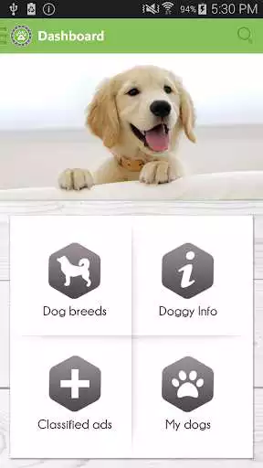 Play HUNDO - All About dogs as an online game HUNDO - All About dogs with UptoPlay