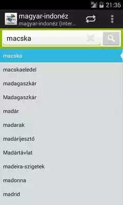 Play Hungarian-Indonesian