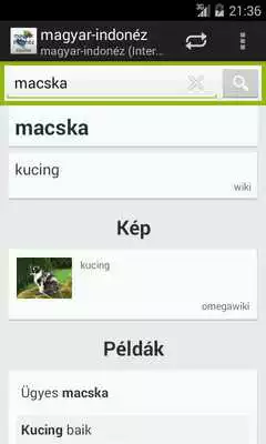 Play Hungarian-Indonesian