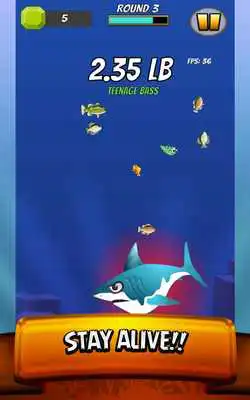 Play Hungry Bass Pro