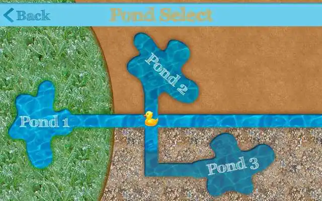 Play Hungry Ducks Free Play Hungry Ducks Free