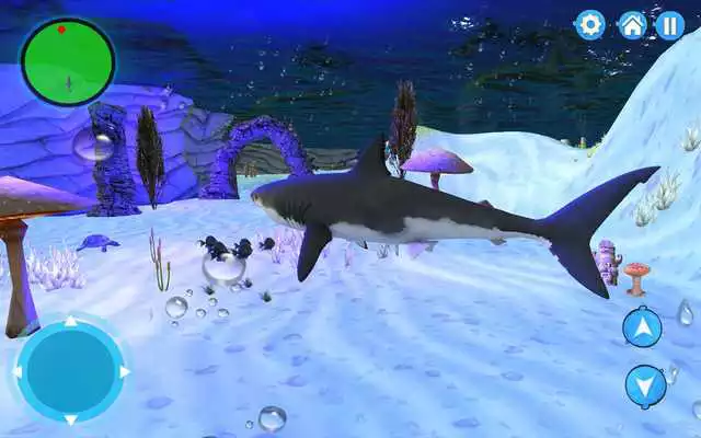 Play Hungry Shark Attack 3d Play Hungry Shark Attack 3d