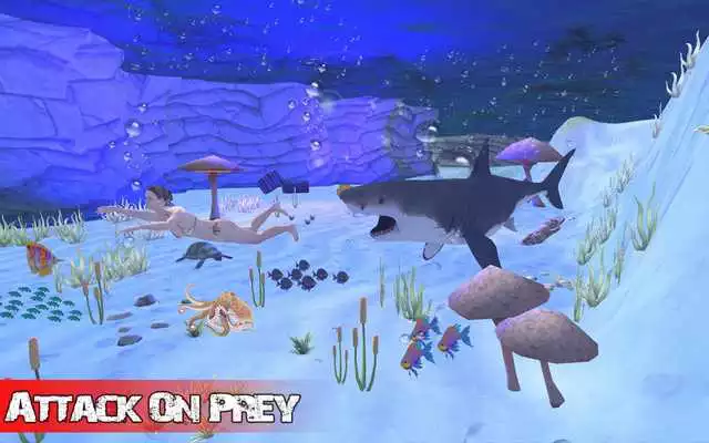 Play Hungry Shark Attack 3d Play Hungry Shark Attack 3d