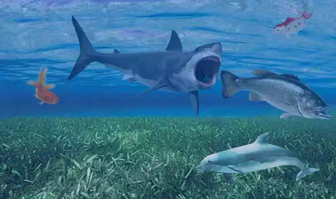 Play Hungry Shark Attack Blue Whale Evolution Simulator