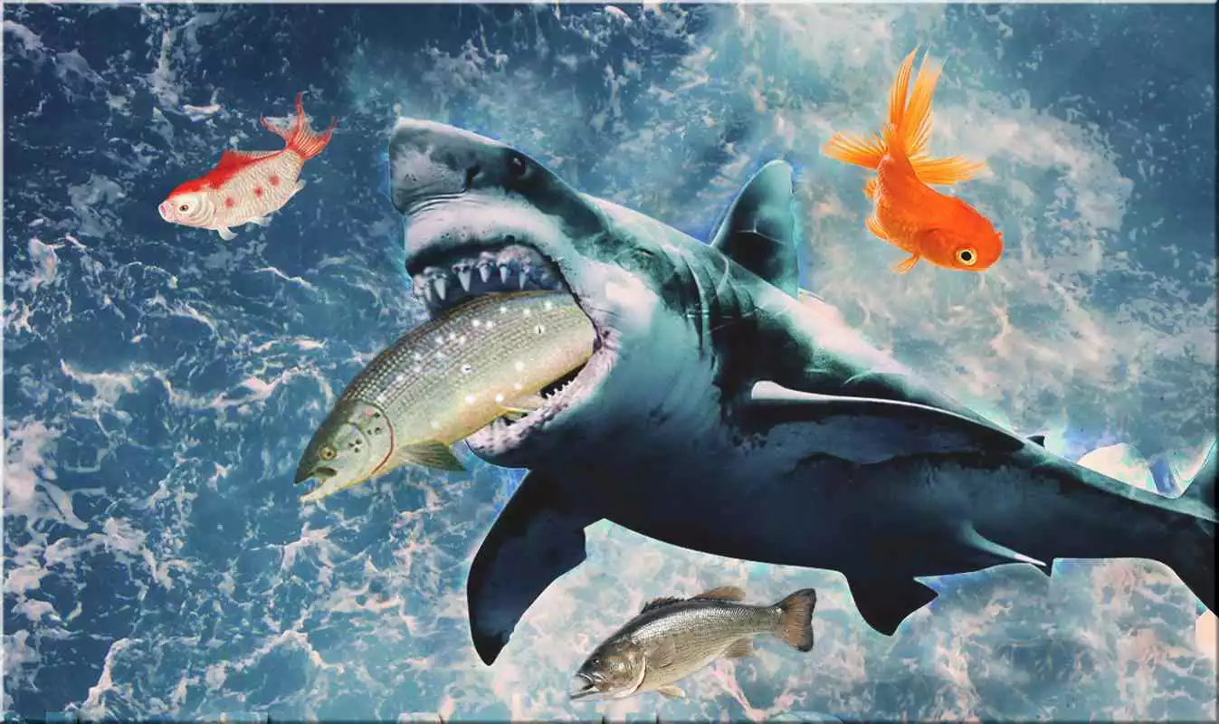 Play Hungry Shark Attack Blue Whale Evolution Simulator