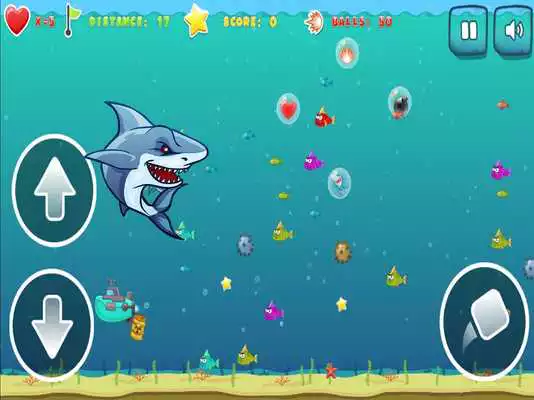 Play Hungry Shark Game
