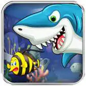 Free play online Hungry Shark APK Free play online Hungry Shark APK