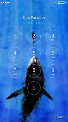 Play Hungry Shark Lock Screen