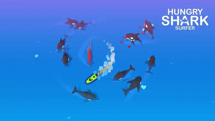 Play Hungry Shark Surfer Play Hungry Shark Surfer