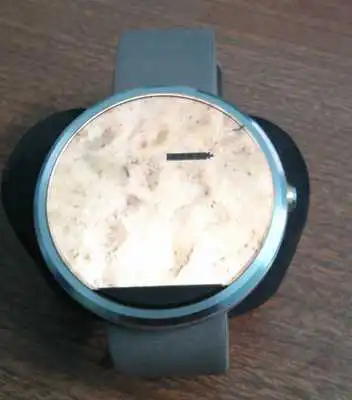 Play HungrySnake free edition Play HungrySnake free edition