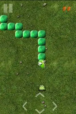 Play Hungry Snake Lite