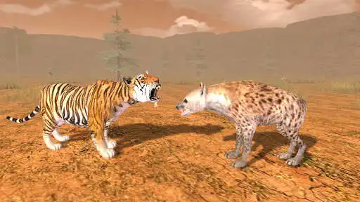 Play Hungry Tiger 3D  and enjoy Hungry Tiger 3D with UptoPlay