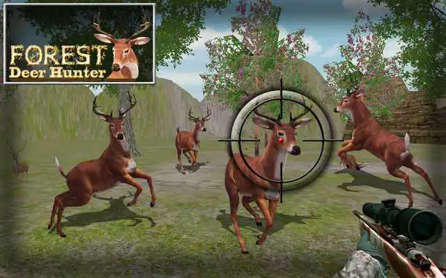 Play Hunt Animals in jungle