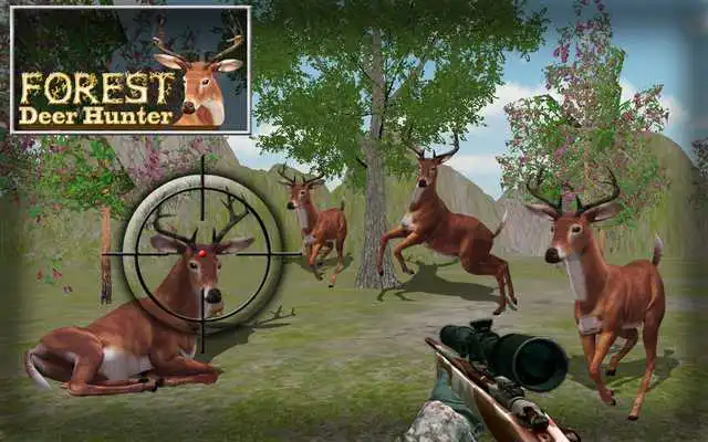 Play Hunt Animals in jungle