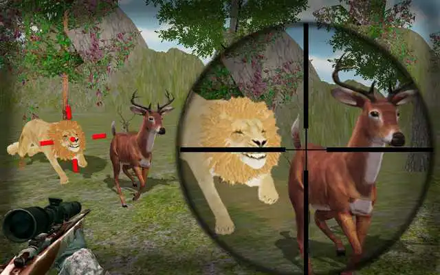 Play Hunt Animals in jungle