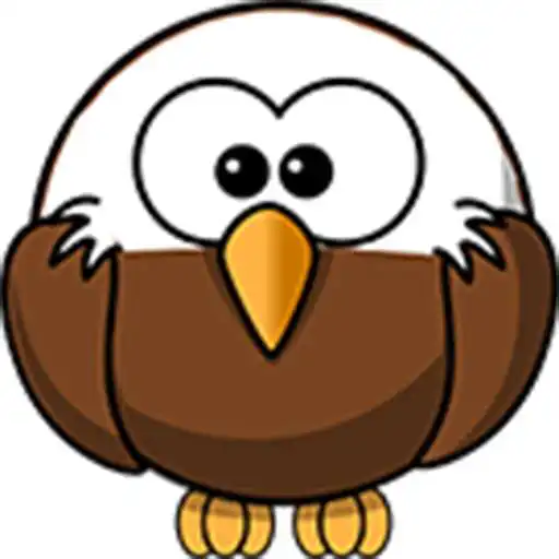 Play Hunter Birds APK