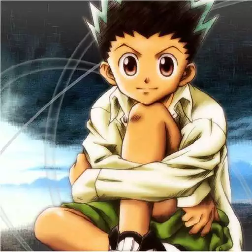Play Hunter x Hunter anime APK