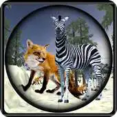 Free play online Hunt Fox And Zebra APK Free play online Hunt Fox And Zebra APK