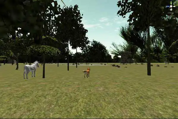 Play Hunt Fox And Zebra