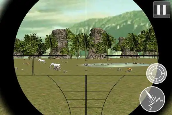 Play Hunt Fox And Zebra