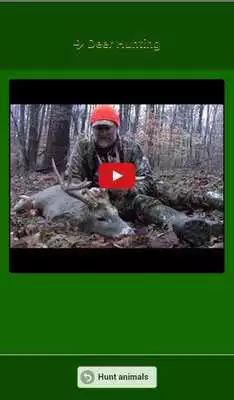 Play Hunting Animals Free