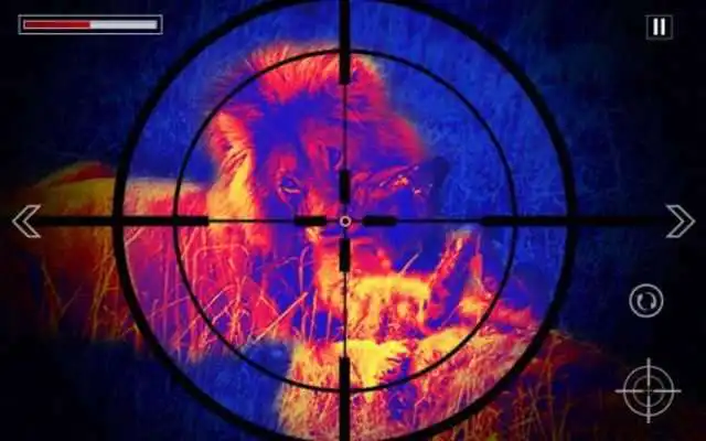 Play Hunting Animals in Jungle 2