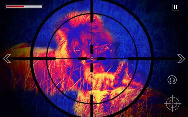 Play Hunting Animals in Jungle 2