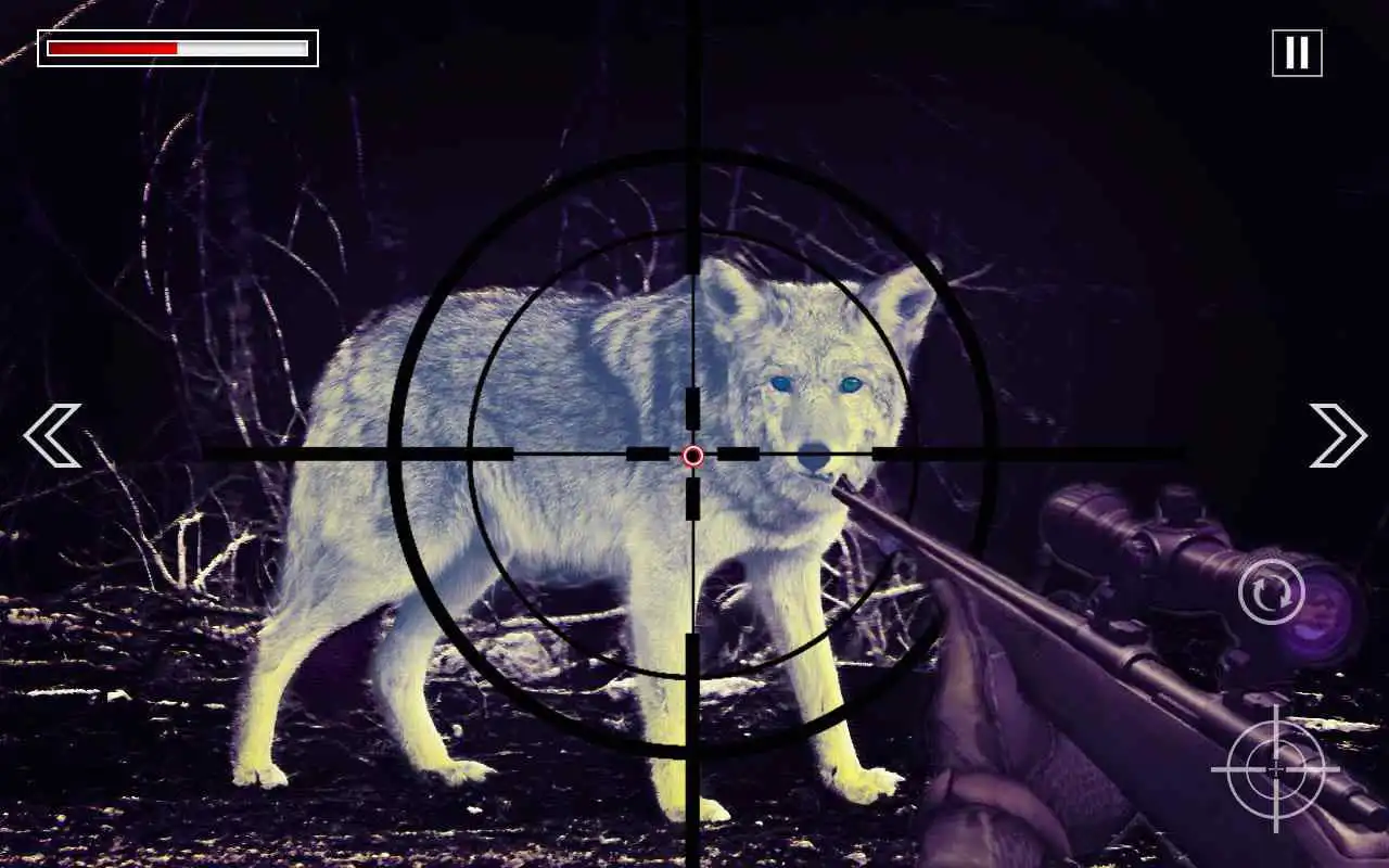 Play Hunting Animals in Jungle 2