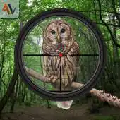 Free play online Hunting Birds In Desert APK Free play online Hunting Birds In Desert APK