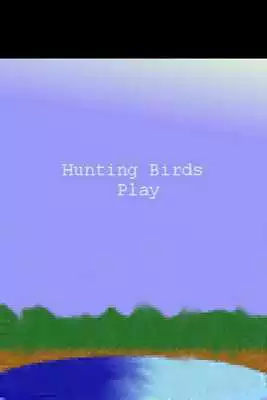Play Hunting Birds