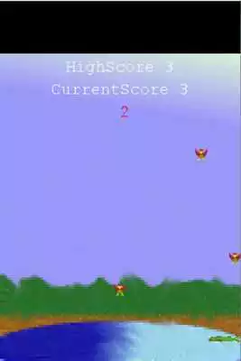 Play Hunting Birds