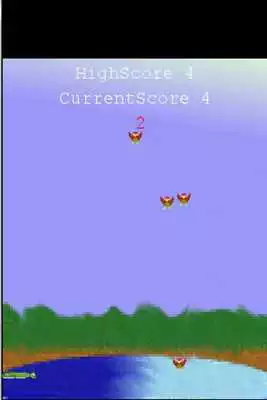 Play Hunting Birds