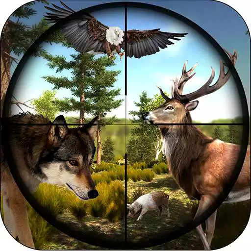 Run free android online Hunting Jungle Animal Survival APK