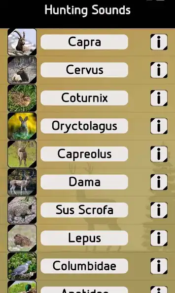 Play Hunting sounds identifier as an online game Hunting sounds identifier with UptoPlay