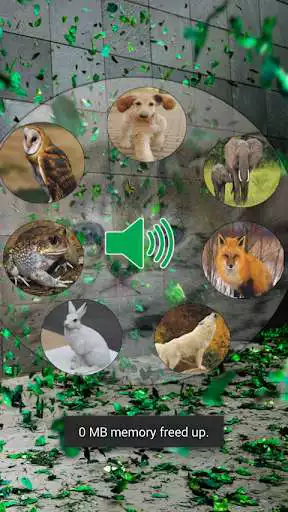Play Hunting Toddler jungle Animals  and enjoy Hunting Toddler jungle Animals with UptoPlay
