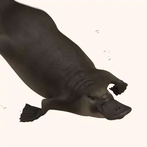Play Huon Platypus APK