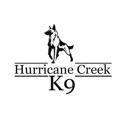 Play Hurricane Creek K9 APK