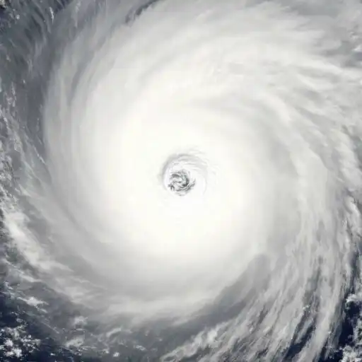 Play Hurricane Live Wallpaper Pro APK Play Hurricane Live Wallpaper Pro APK