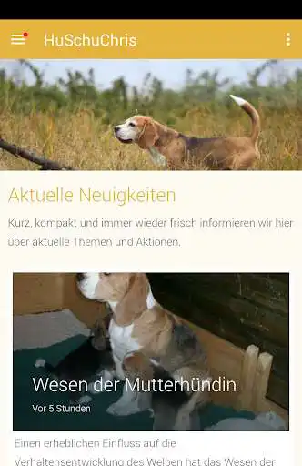 Play HuSchuChris  and enjoy HuSchuChris with UptoPlay
