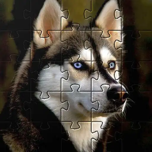 Play Huskies Dog Jigsaw Puzzle Game APK Play Huskies Dog Jigsaw Puzzle Game APK