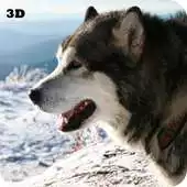 Free play online Husky 3D Live Wallpaper APK